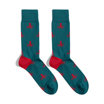 Meias Ocotpus Socks