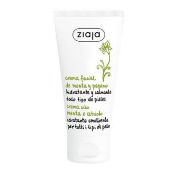Creme de Rosto Hidratante Pepino e Mentos