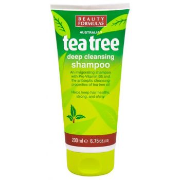 Champô Tea Tree Tea Tree