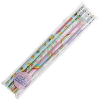 Conjunto de 4 lápis de mensagens com borracha