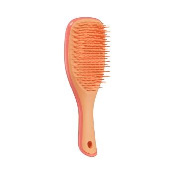 Mini Detangler Ultimate