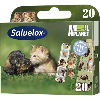 Curativo Adesivo Animal Planet Band-Aids