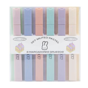 Conjunto Muted Pastel 6 Marcadores Grossos 