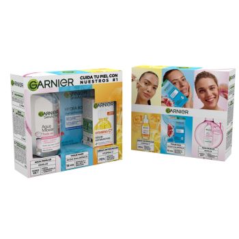 Garnier Essentials Set