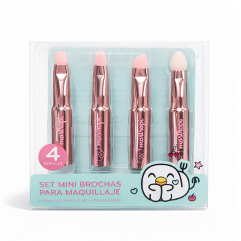 Conjunto de escovas mini 4 em 1