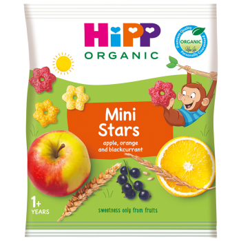 Snacks estrela com fruta 12 meses