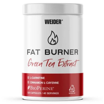 Green Tea Extract Cápsulas